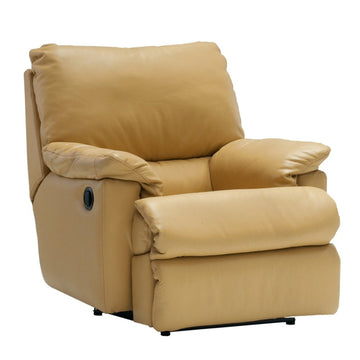 Dania Recliner - Furniture