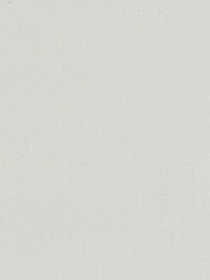 ROC LON B/OFR | 54 IVORY - Drapery - Fabric