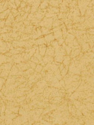 MISHA | 492 LIME - Print - Fabric