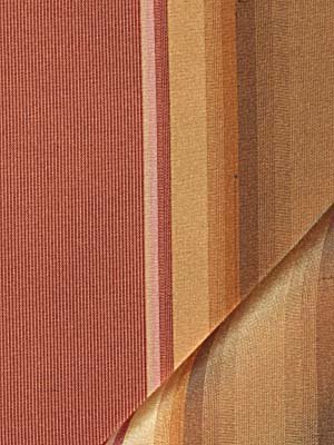 FILBERT | SPICE - Multi-purpose