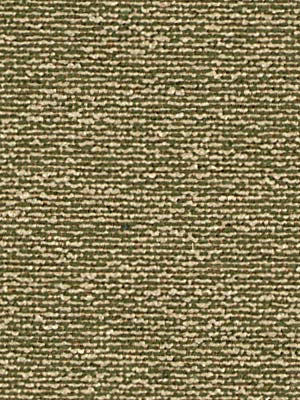 PLEADWELL | GRASS