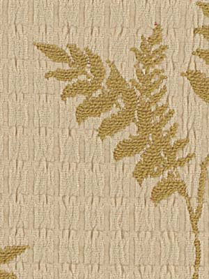 BOSTON FERN | SPRING - Upholstery - Fabric