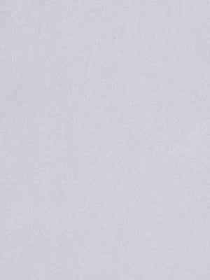 NOVASUEDE | FLINT - Upholstery - Fabric