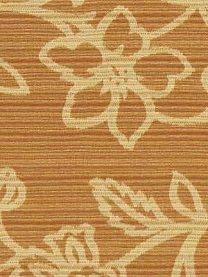 BEATRIX | APRICOT - Upholstery - Fabric