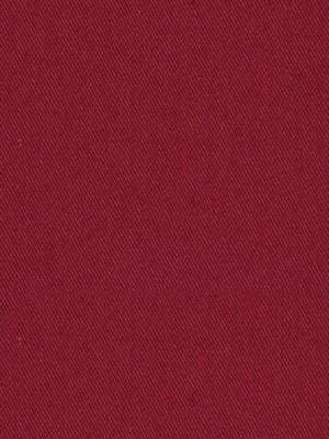 SUCCESS | CURRANT - Multi-purpose