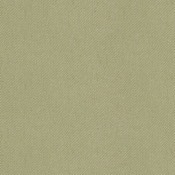 SUCCESS | WILLOW