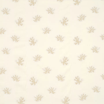 SEA CORAL | CHAMPAGNE