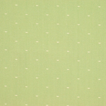Dashford | Pistachio - Multi-purpose