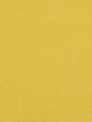 Randy | Butternut - Upholstery - Fabric