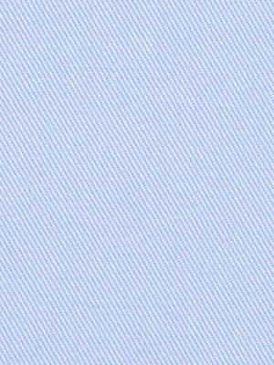 SUCCESS | ROBINS EGG - Multi-purpose