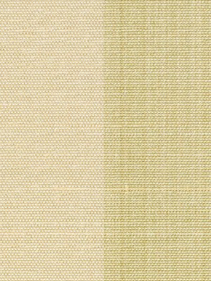 RUTTMAN | STEM - Multi-purpose