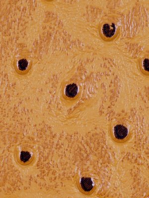 WILEY | CARAMEL - Upholstery - Fabric