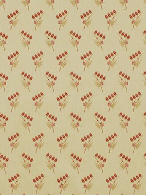 Fab Four | Citrus Ruby - Upholstery - Fabric