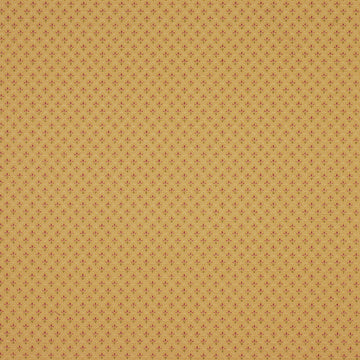 SWEET JANE | NUTMEG