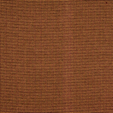 DECODE | BOYSENBERRY