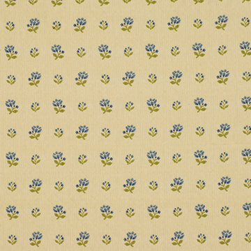 DIFLEUR | PEACOCK
