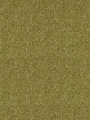 KIM CRACKLE | CELERY - Upholstery - Fabric