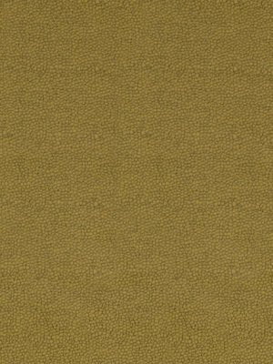 KIM CRACKLE | CACTUS - Upholstery - Fabric
