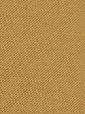 SUCCESS | BISCUIT - Multi-purpose