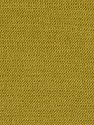 SUCCESS | FENNEL - Multi-purpose