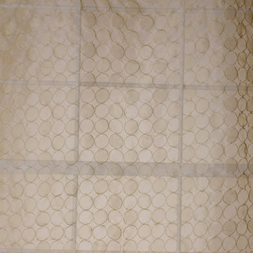 SHEER HOOPS | BUTTER