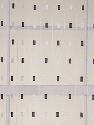 Cee Cee | Zebra - Drapery - Fabric