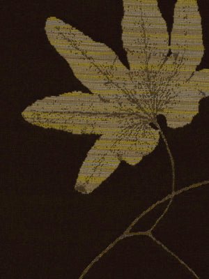 Canopy Bk | Teak - Upholstery - Fabric