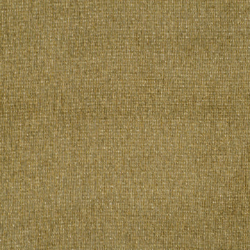 SIMPLY AMAZING | GOLDEN SAGE