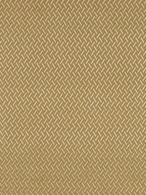 EDEN POINTS | BRONZE - Multi-purpose
