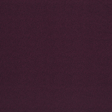 SPOTTED GLORY | PLUM