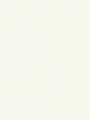 CARTER NAPPED | IVORY - Drapery - Fabric