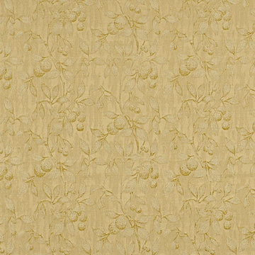 DORLISA | PARCHMENT - Multi-purpose