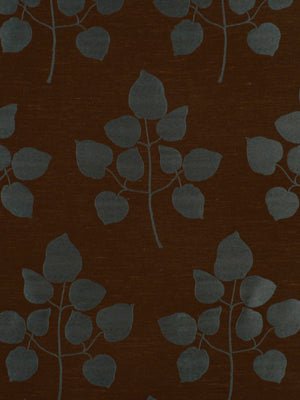 Caqueta | Peacock - Multi-purpose