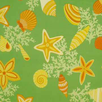 BEACH BONGO | CITRUS