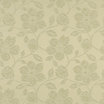 Chubut | Sand Dollar - Drapery - Fabric