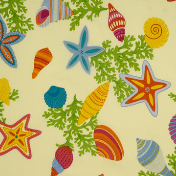 BEACH BONGO | MULTI