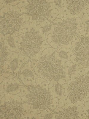 SHESHIMMERS | CAFE - Multi-purpose