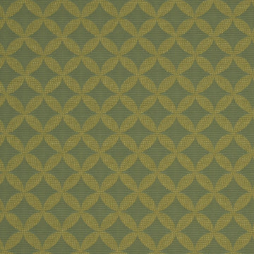 PIN WHEEL | ALOE - Upholstery - Fabric