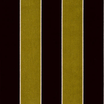 CRITERION | CITRINE - Multi-purpose