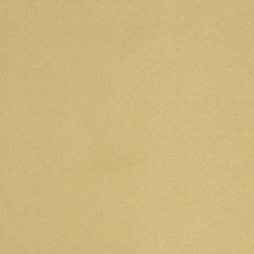 BELLE AMI | CHAMPAGNE