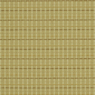 Navigator | Spring - Drapery - Fabric