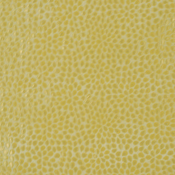 MOSAIC PETAL | MAIZE