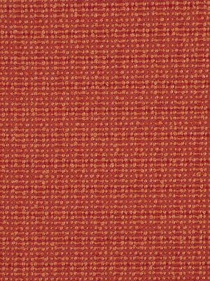 DAREDEVIL | ZINNIA - Multi-purpose