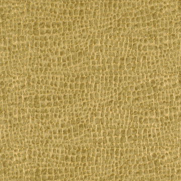 TAIPAN | BRONZE
