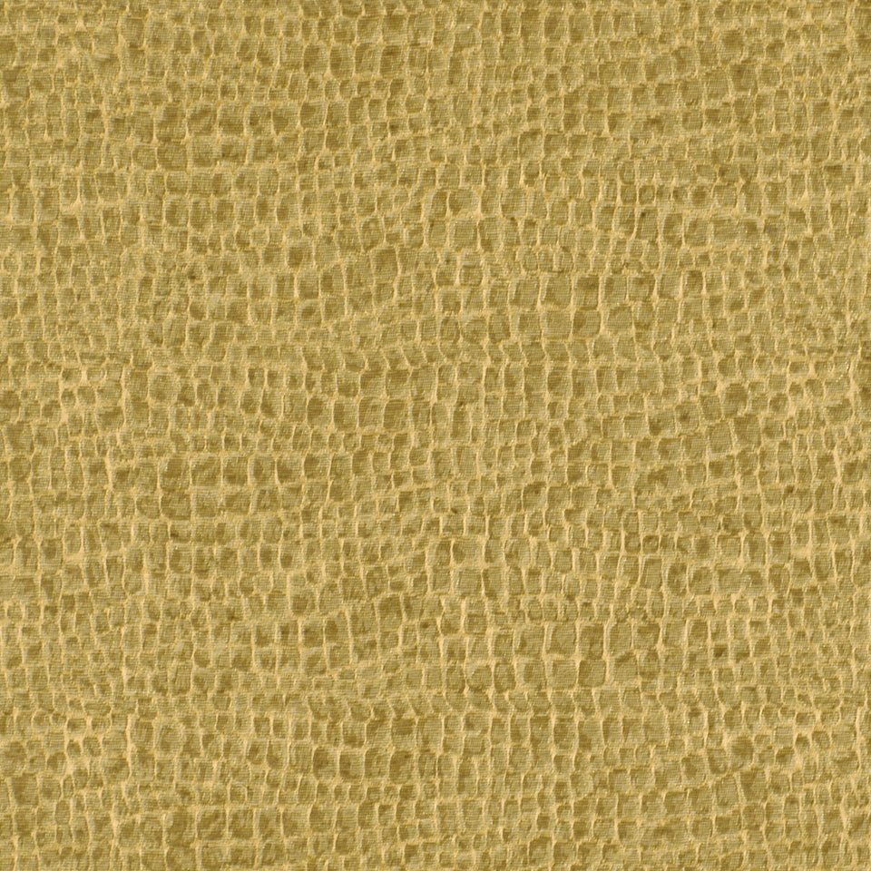 TAIPAN | BRONZE - Multi-purpose
