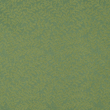 ECO ARIA | VAPOR