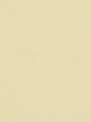 CRYPTON SUEDE | BONE - Upholstery - Fabric