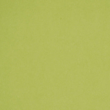 CRYPTON SUEDE | HONEYDEW