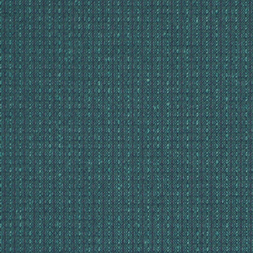 COLOR SPLASH | PEACOCK