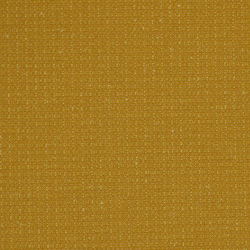 COLOR SPLASH | MARIGOLD